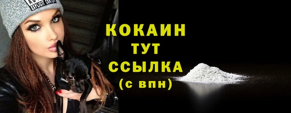 эйфоретик Кодинск